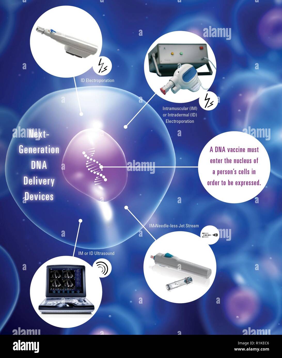 Un certo numero di vaccino di DNA i dispositivi di consegna sono in sviluppo commerciale che hanno il potenziale per superare questi oneri logistici. Alcuni di loro saranno valutate dal personale medico per la consegna di un acido nucleico vaccini (DONAVAX) Feedback Utente Evento (UFE). Durante l UFE, militare Il personale medico avrà la possibilità di effettuare il rilevamento di un intervallo di prossima generazione di DNA di dispositivi di erogazione su "false armi' e valutare i vari parametri del dispositivo, come la facilità di utilizzo, la dimensione, il peso e l'imballaggio per la facilità di trasporto. Foto Stock