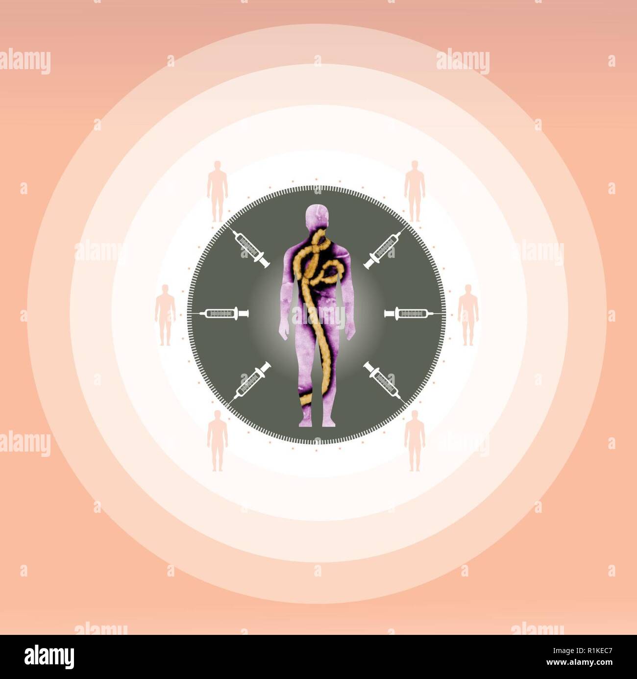 Quando Ebola (EVD) allevati la sua testa a Maggio nella Repubblica democratica del Congo, il mondo era armato con la rVSV-vaccino ZEBOV grazie alla collaborazione tra le agenzie gli sforzi della difesa per la riduzione della minaccia della Agenzia chimica e tecnologie biologiche dipartimento. Foto Stock