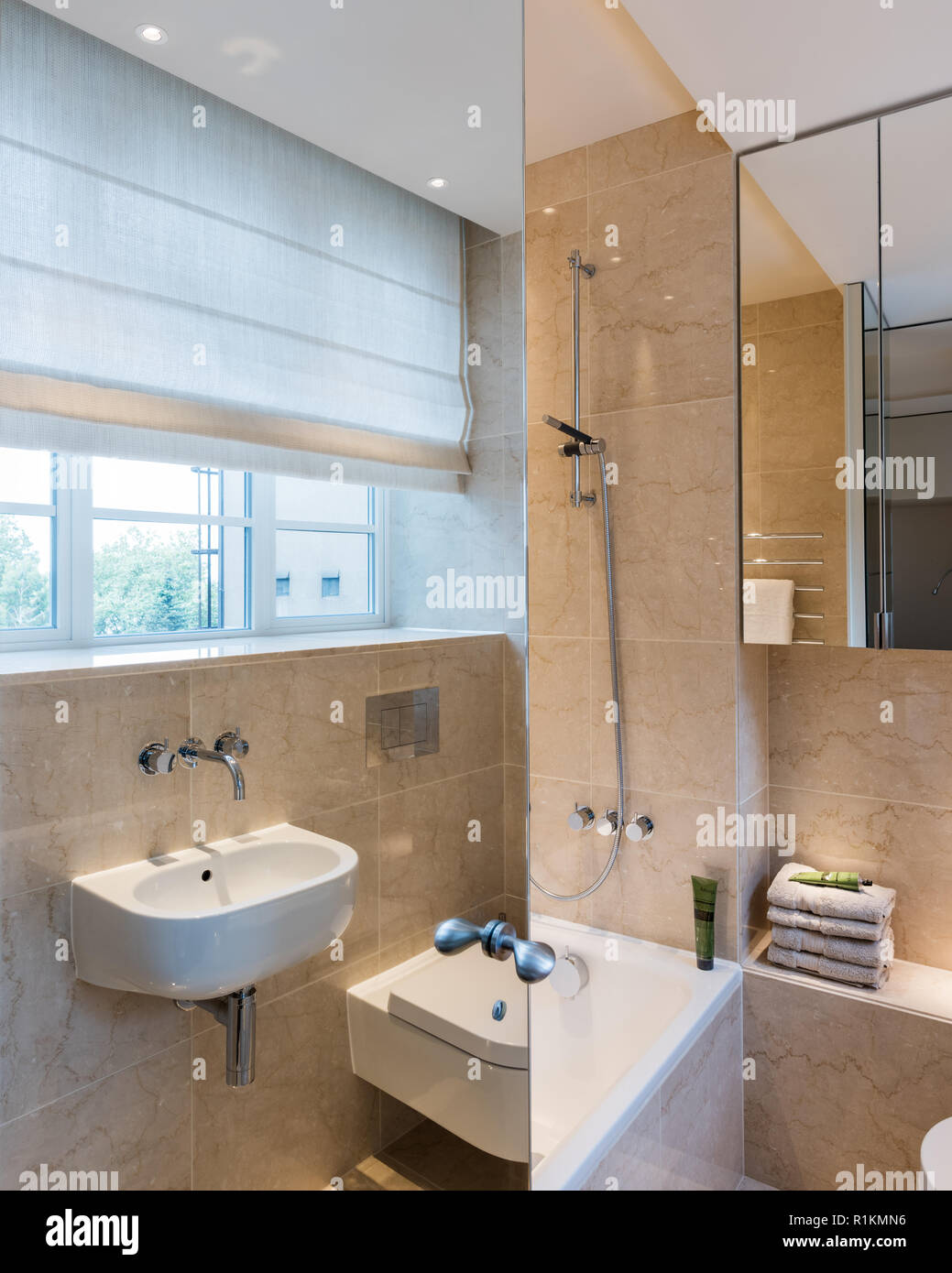 Bagno con sportello in mirroring Foto Stock