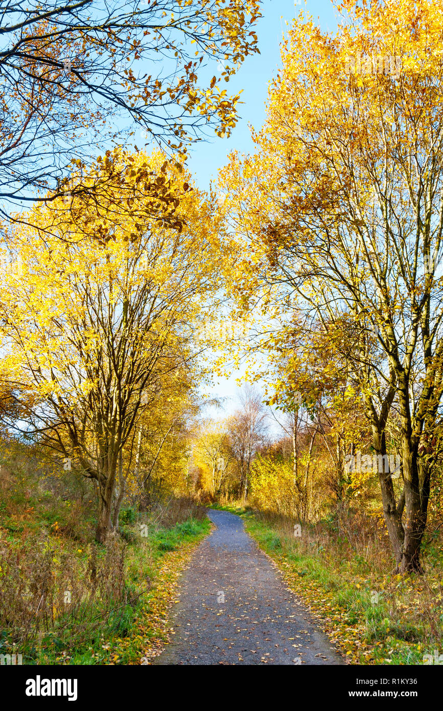 Autunno vista lungo la costa a costa percorso ciclabile vicino a Stanley, Co. Durham, England, Regno Unito Foto Stock