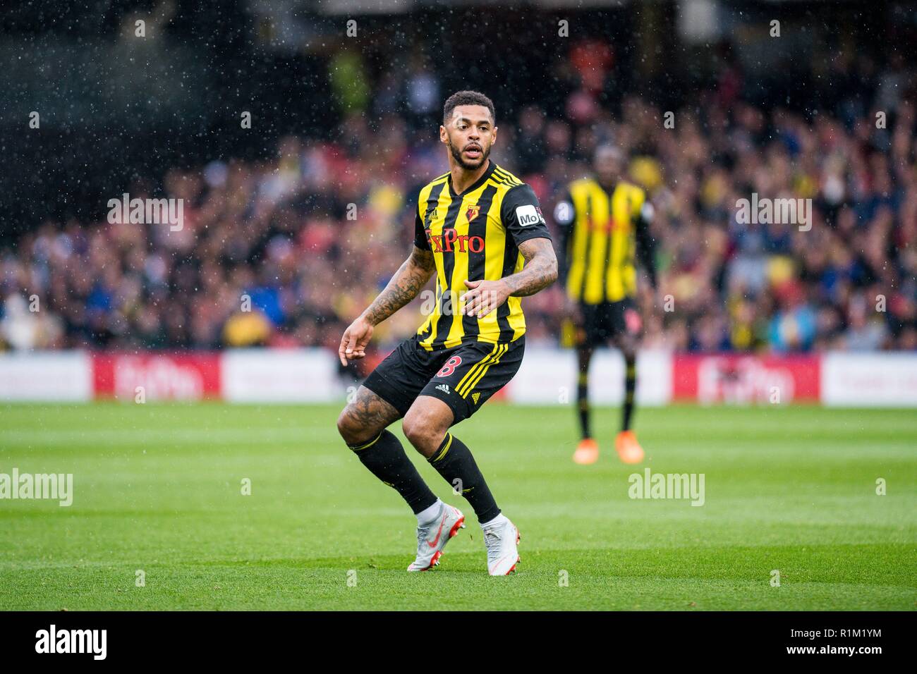 WATFORD, Inghilterra - 26 agosto: Andre grigio (18) di Watford durante il match di Premier League tra Watford FC e Crystal Palace a Vicarage Road il 26 agosto 2018 a Watford, Regno Unito. (MB Media ) Foto Stock