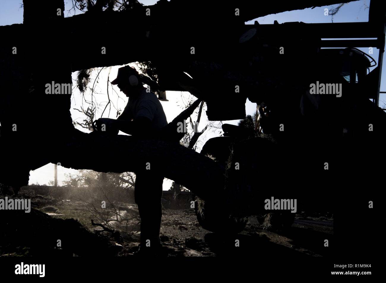 Airman 1. Classe Mitchell Reed, 823rd cavallo rosso artigiani strutturali, Hurlburt Field, Florida, rimuove i rami di un albero abbattuto, Ottobre 21, 2018 Tyndall Air Force Base. Avieri del 823rd rosso squadrone di cavalli hanno lavorato per cancellare le strade e rimuovere i detriti dopo l uragano Michael ha colpito la base. Foto Stock