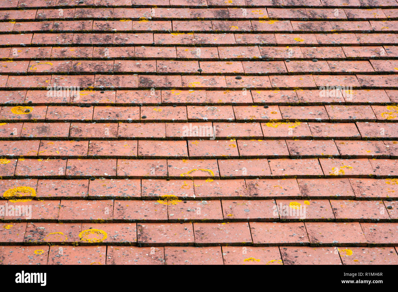 Red Roof tile pattern di sfondo Foto Stock