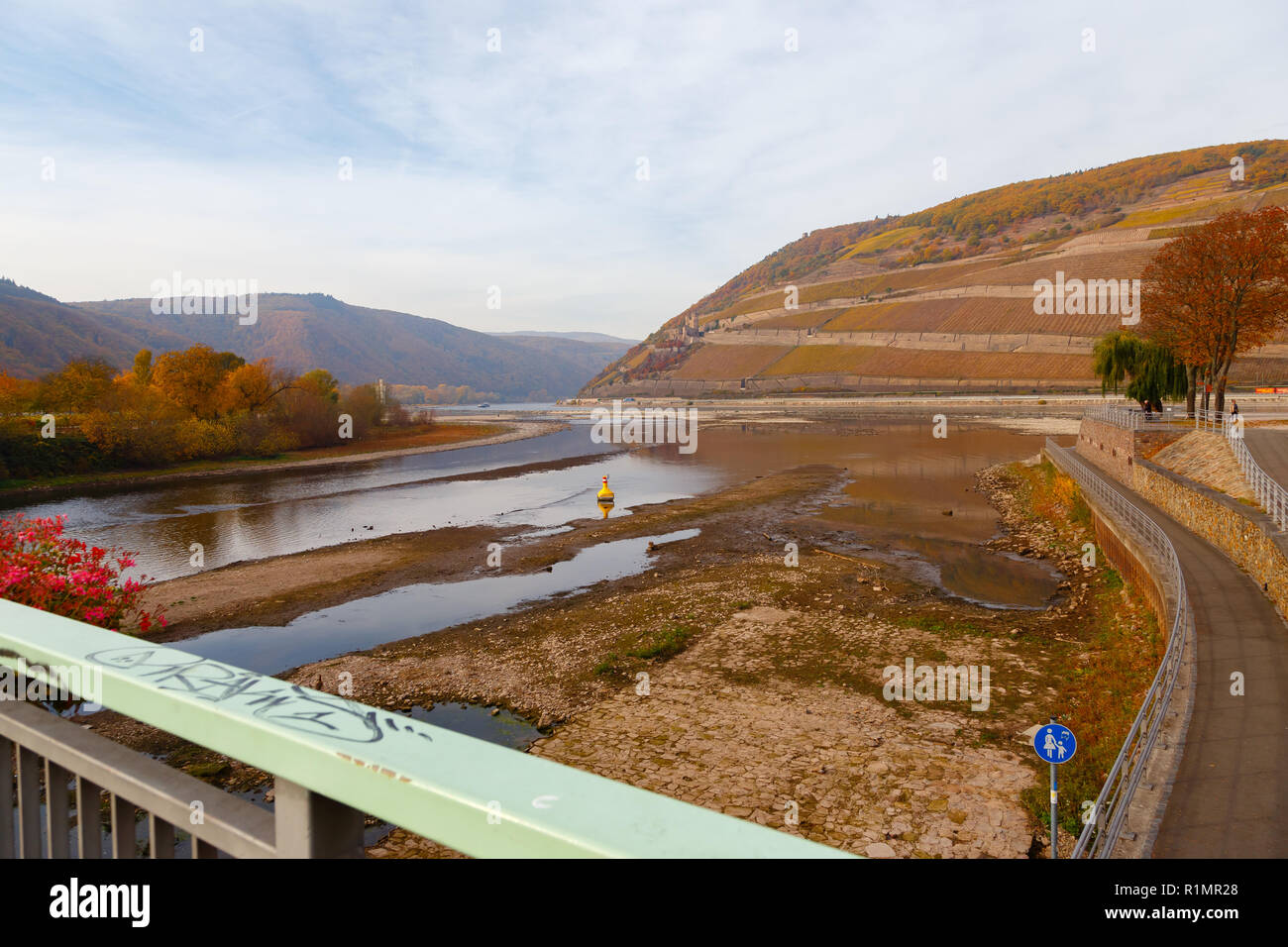 Nahe bocca nel Reno con acqua bassa. Bingen, Renania Palatinato, Germania. Foto Stock