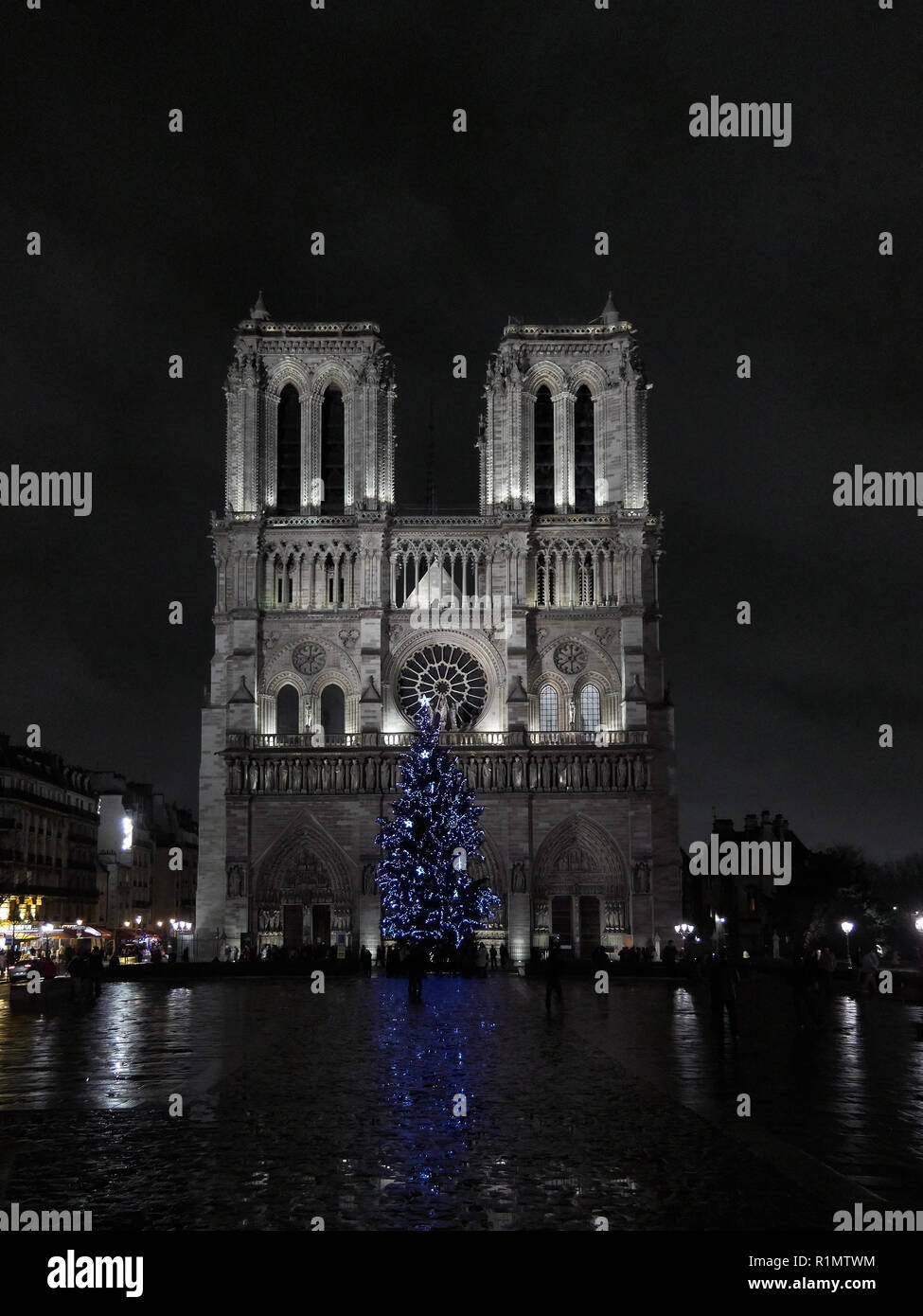 Cattedrale di Notre Dame di Parigi con un albero di Natale decorato display  con luci blu a tarda notte senza persone e piazza vuota Foto stock - Alamy