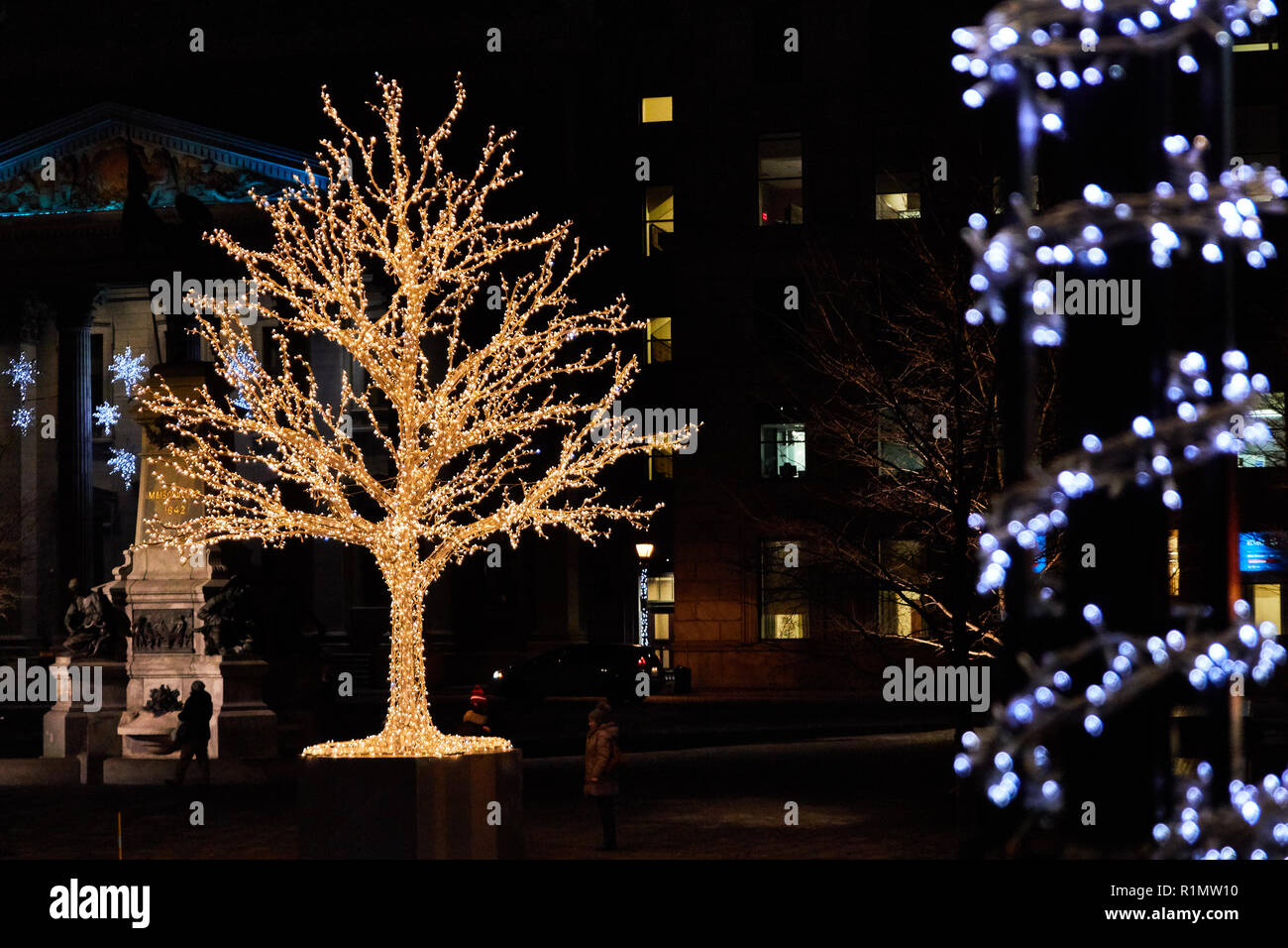 Albero decorato (coperto) con le luci di Natale illuminato a su inverno vicino a Place d'Armes a Montreal, Quebec, Canada. Foto Stock