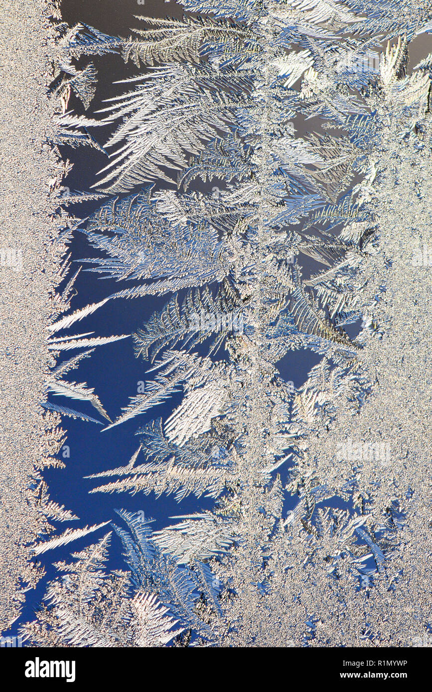 Sfondo Inverno, brina sulla finestra Foto Stock