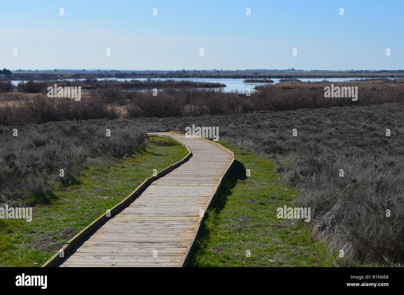 Tablas de Daimiel parco nazionale, riconosciuto a livello internazionale di Ramsar convenzione di zone umide in Spagna centrale, danneggiata da decenni di illegale di estratto di acqua Foto Stock