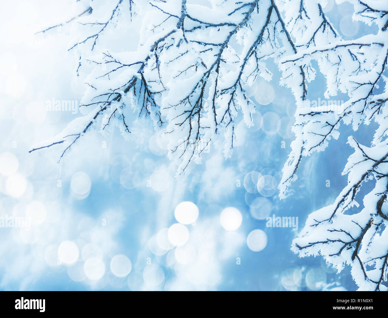 Sfondo Inverno Foto Stock