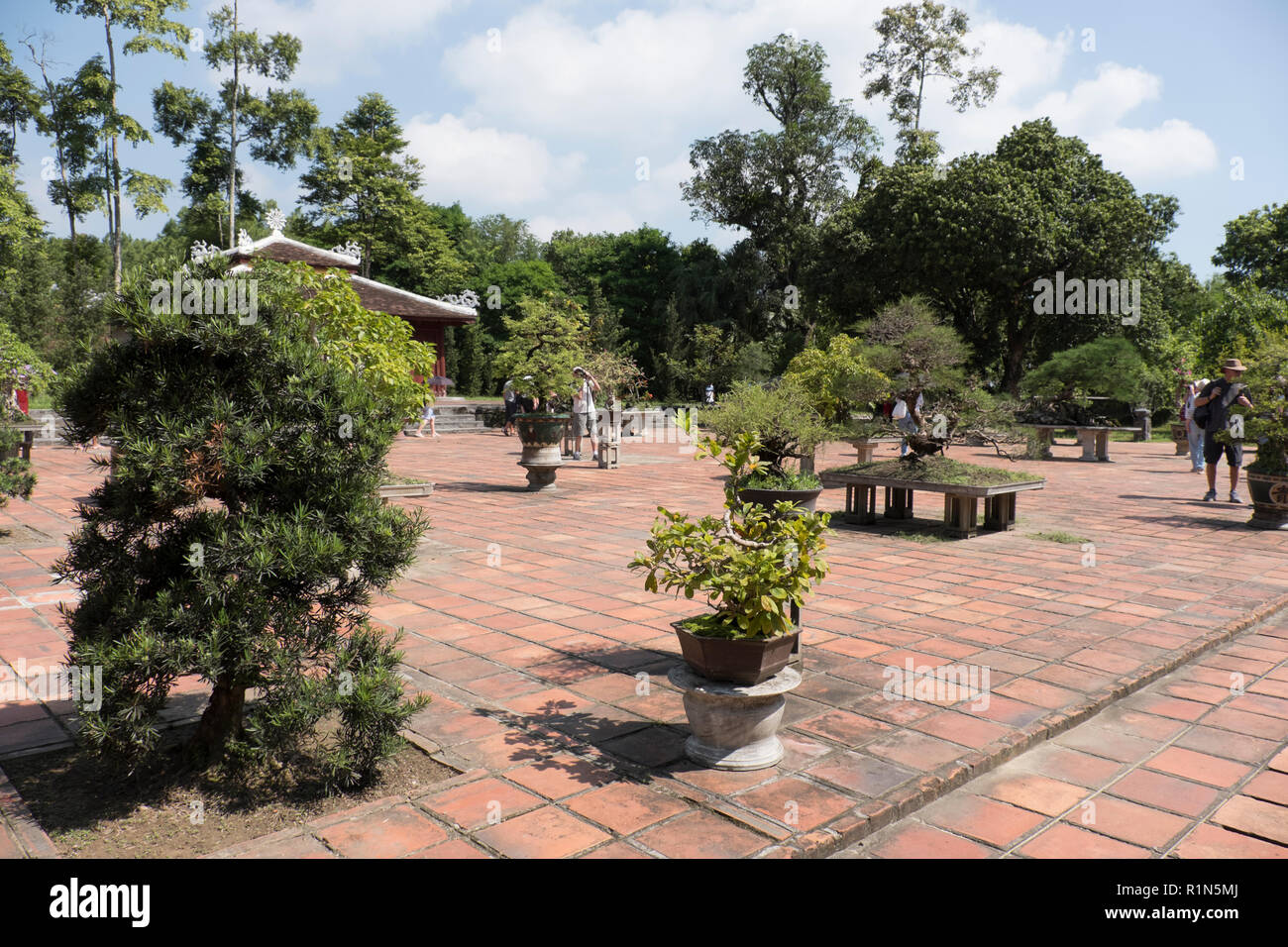 Alberi di Bonsai in giardini tranquilli in Thien Mu Pagoda Pagoda complessa della celeste signora la cittadella di Hue Vietnam Asia un vivente tempio Buddista situato sulla Hà Kh Foto Stock