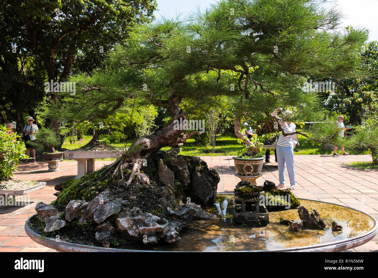 Alberi di Bonsai in giardini tranquilli in Thien Mu Pagoda Pagoda complessa della celeste signora la cittadella di Hue Vietnam Asia un vivente tempio Buddista situato sulla Hà Kh Foto Stock
