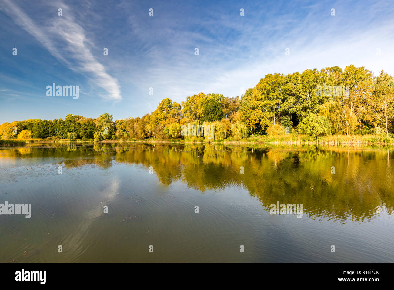 Laguna specchio arrotondati da montagne, autunno magnifico lago di riflessione e colorati di foglie di albero Foto Stock