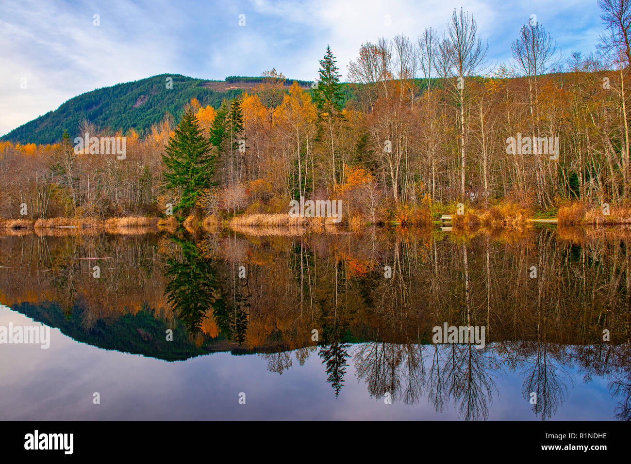 I colori dell'autunno in piena visualizzazione presso il lago Cowichan, Isola di Vancouver, Canada Foto Stock