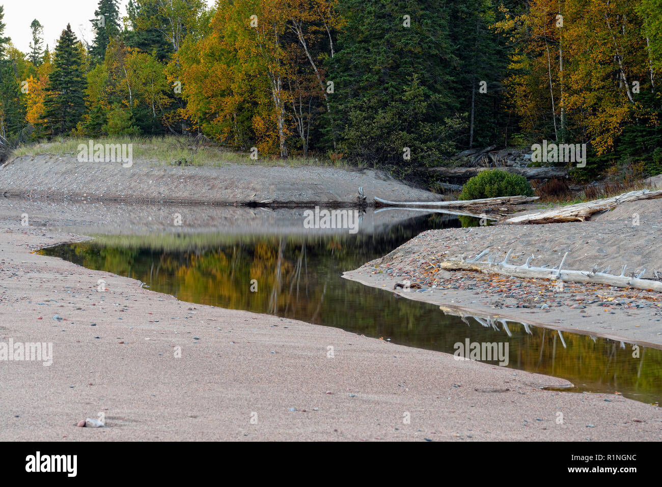 Autunno riflessioni in un torrente vicino Agawa Bay, Lago Superior parco provinciale, Ontario, Canada Foto Stock