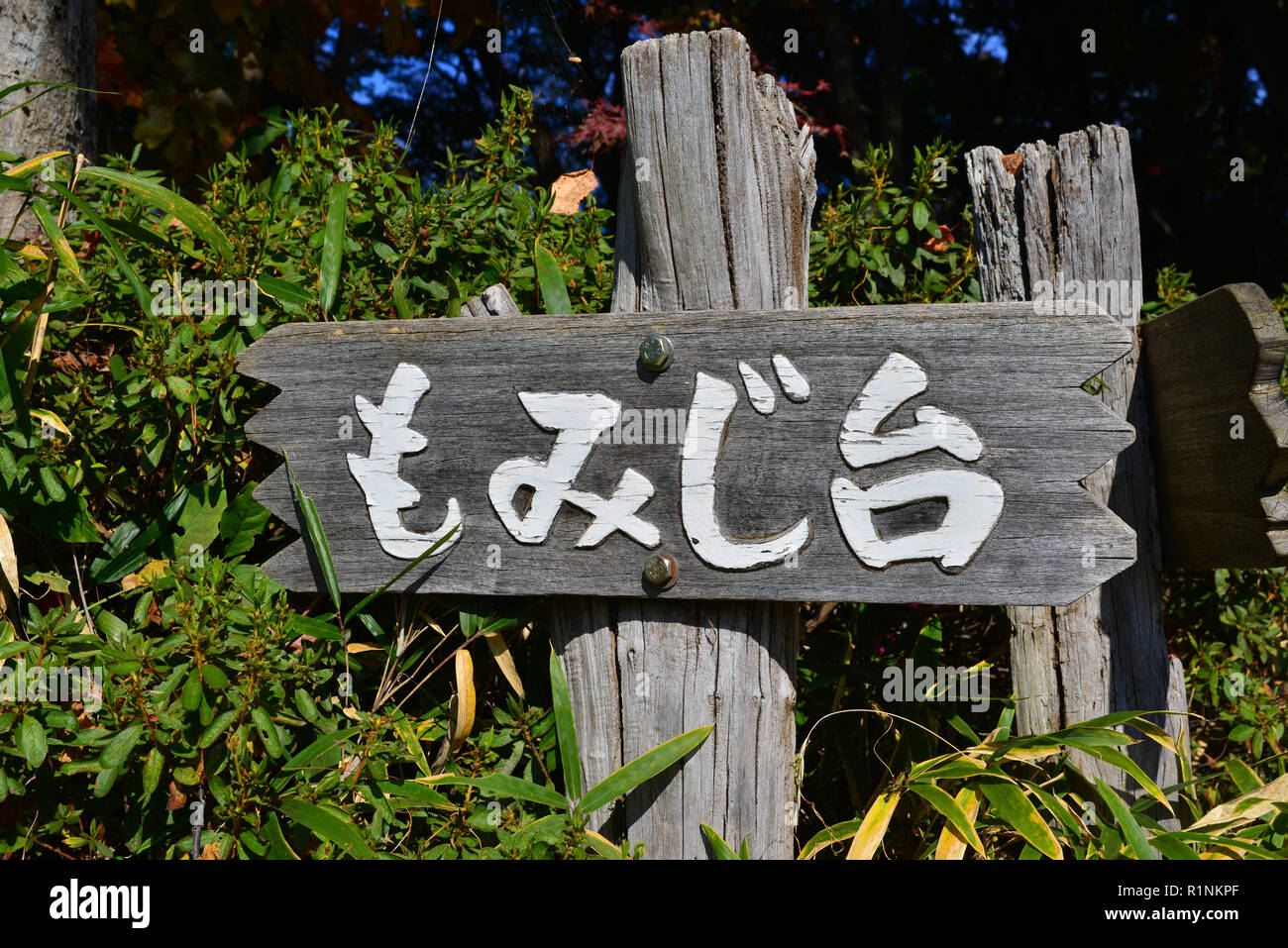 Il famoso Momijidai (foglia caduta la visualizzazione di spot) firmare alla sommità del monte Takao Foto Stock