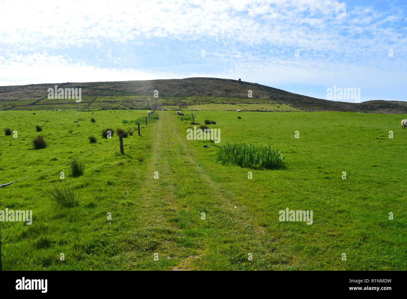 Verde paesaggio in Irlanda Foto Stock