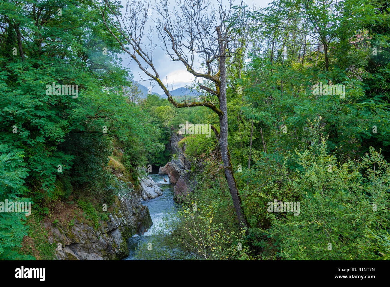 Paesaggio con la vegetazione dei Pirenei sul lato francese e il fiume Ax-les-Thermes vicino al villaggio dello stesso nome. Ariège Francia Foto Stock