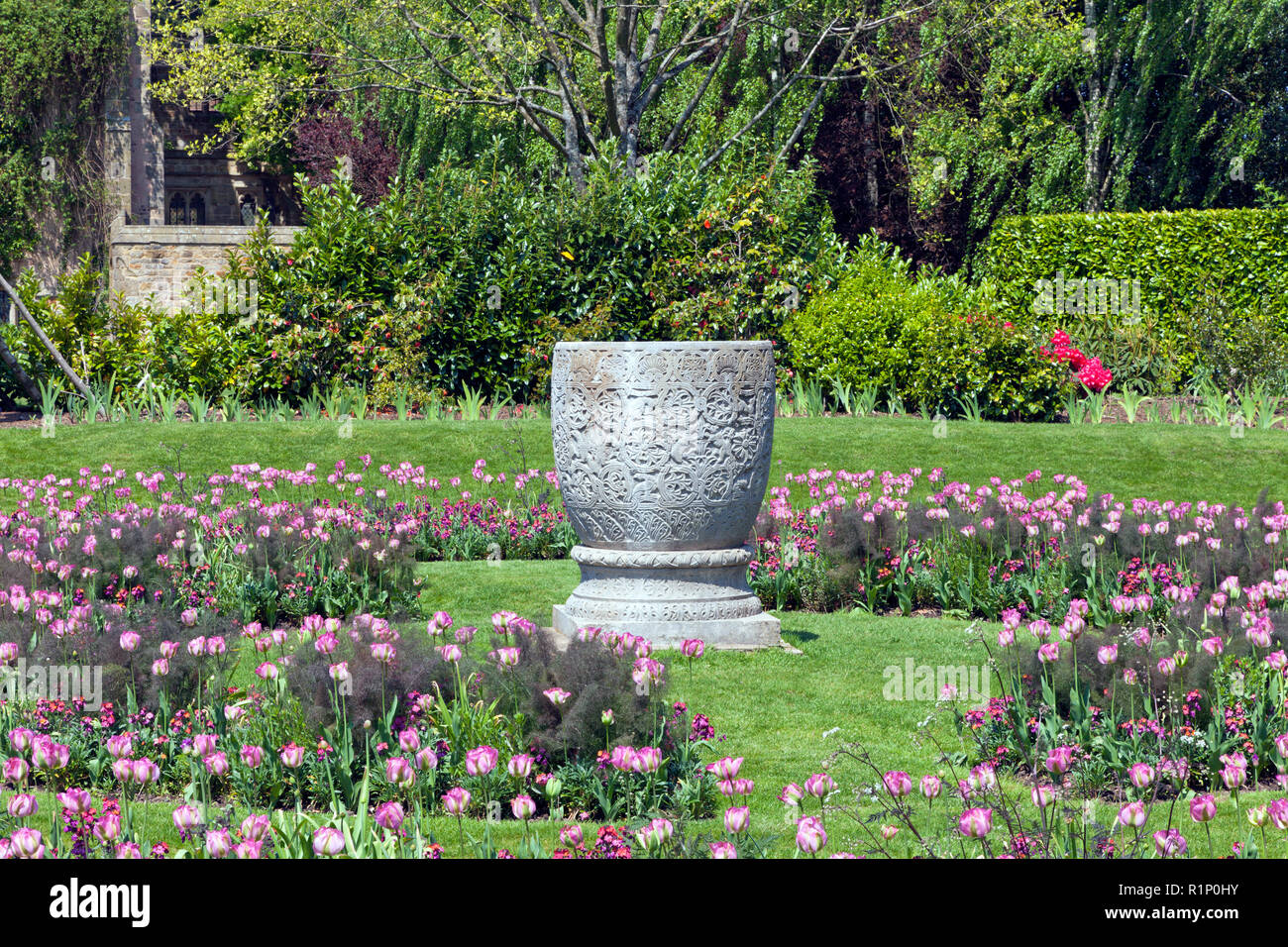 Pietra vaso ornamentale tra la fioritura di tulipani rosa, in un colorato giardino in Inghilterra rurale campagna, su un estate giornata di sole . Foto Stock