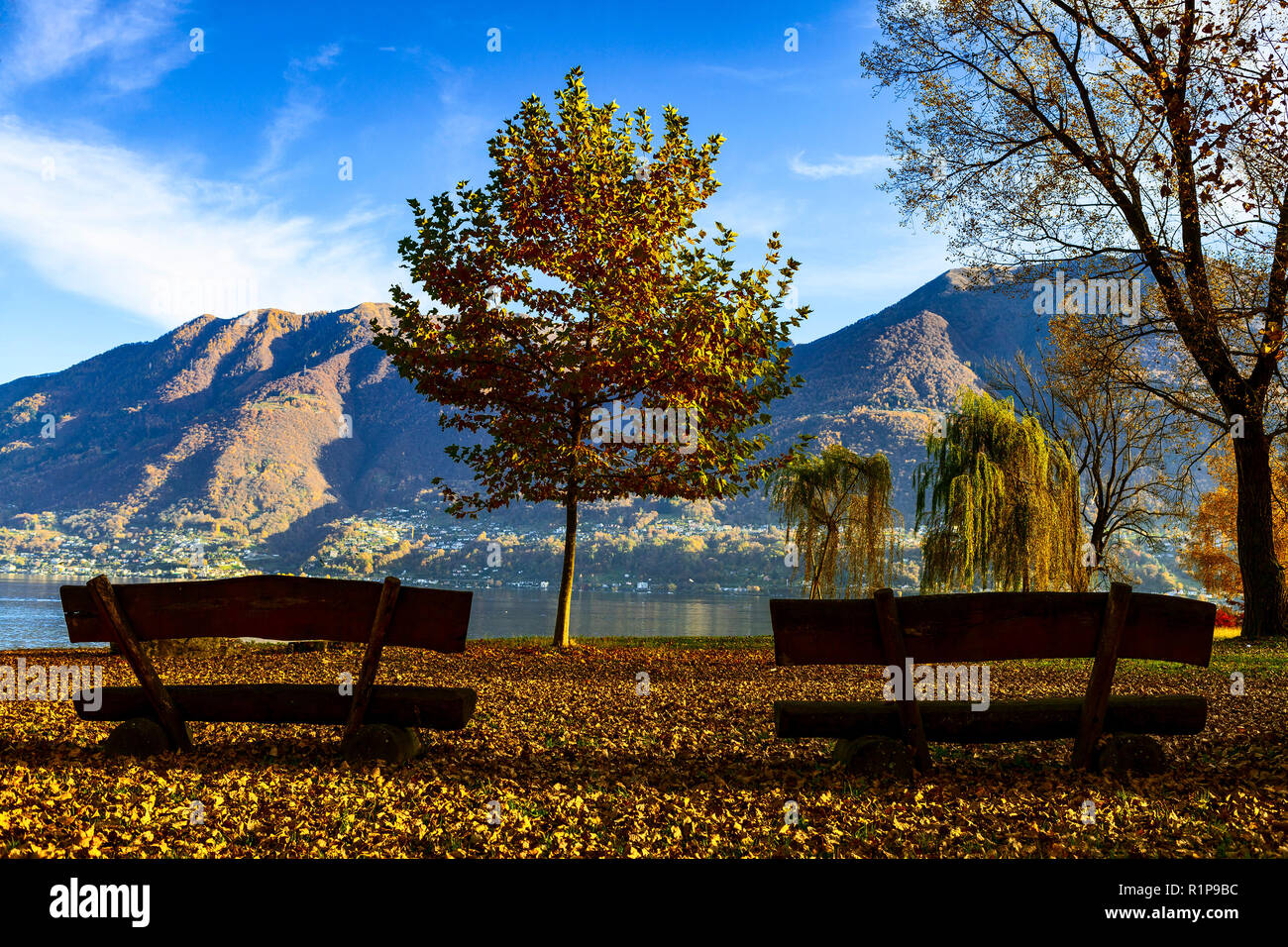Autunno Romantico, panchine sul Lago Maggiore, paesaggio, Locarno in Svizzera Foto Stock