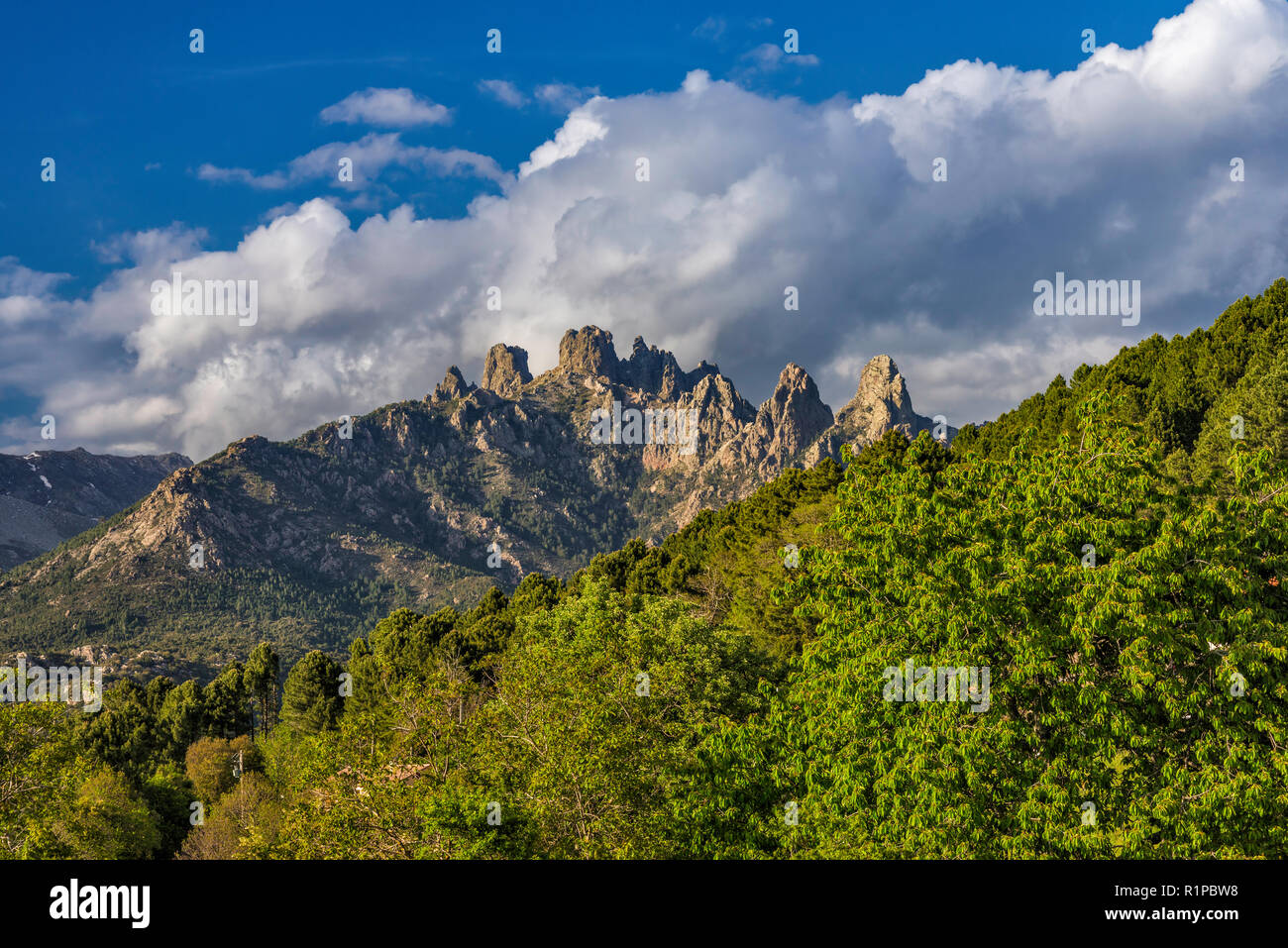 Aiguilles de Bavella, vista dal villaggio di Zonza, Alta Rocca microregion, Corse-du-Sud, Corsica, Francia Foto Stock