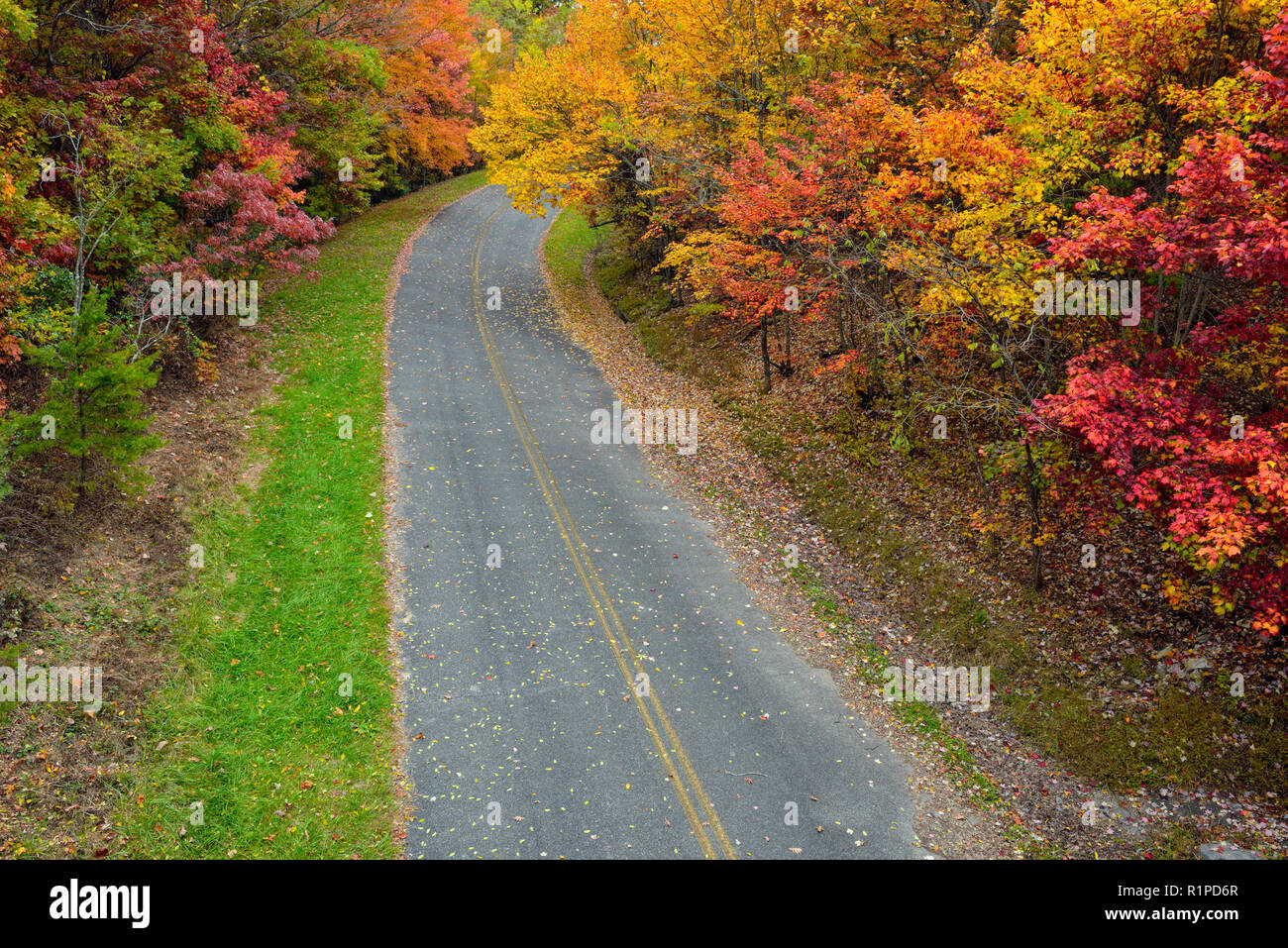Strada secondaria, vicino Foothills Parkway, con fogliame di autunno, Great Smoky Mountains National Park, Tennessee, Stati Uniti d'America Foto Stock
