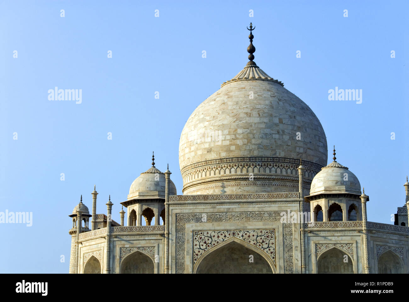 Cupola del Taj Mahal, il famoso bianco, mausoleo di marmo costruito dall imperatore Mughal, Shah Jahan, in Agra, India. Foto Stock