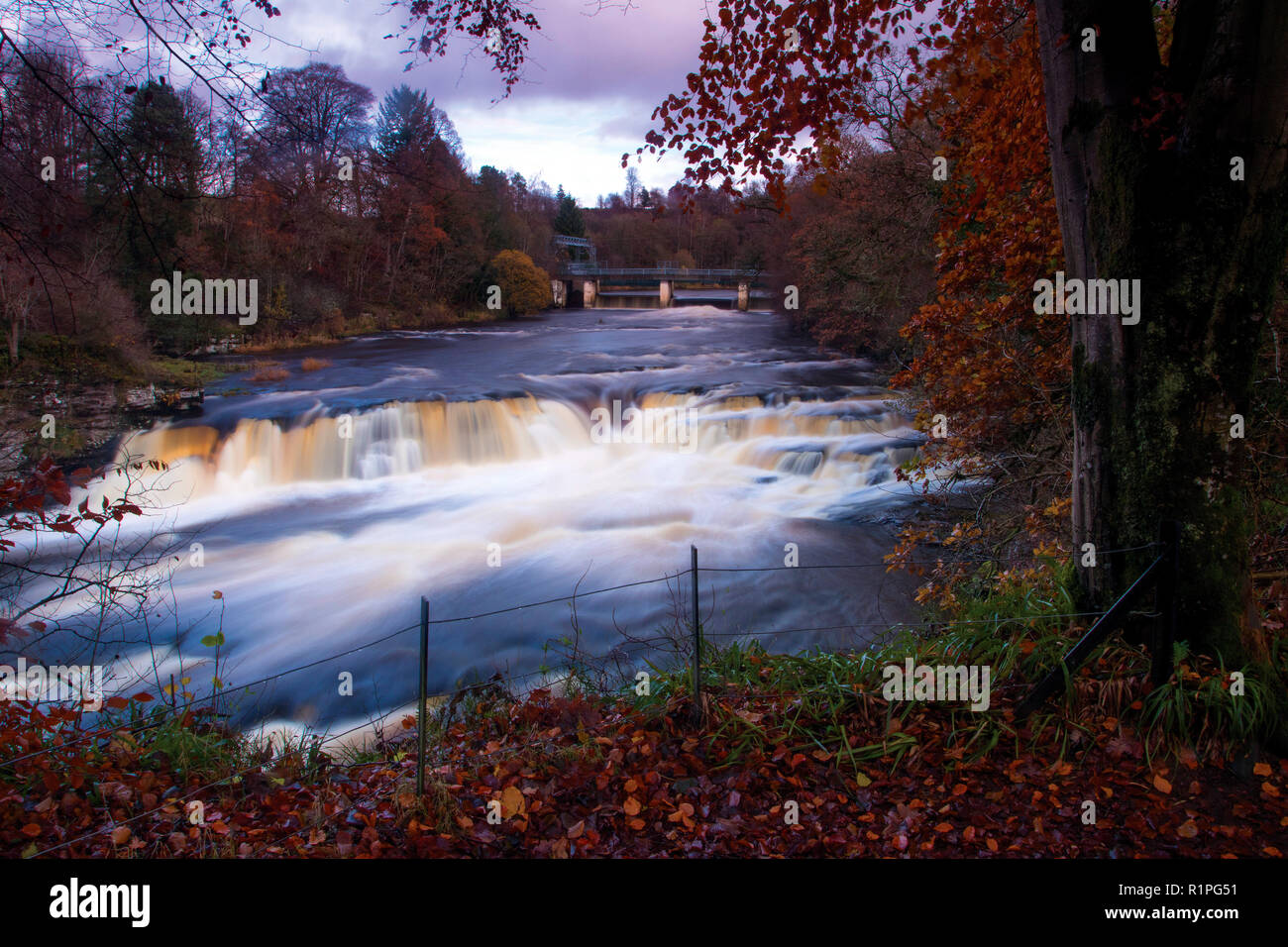 Il Bonnington Linn e il fiume Clyde, cade di Clyde vicino a New Lanark, South Lanarkshire Foto Stock