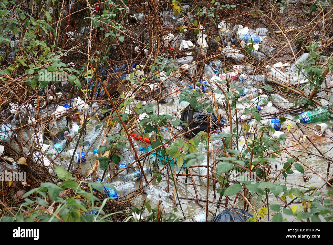 Milano, Italia - Novembre 2017: inquinamento ambientale di non-della frazione biodegradabile dei rifiuti abbandonati in un parco della città Foto Stock