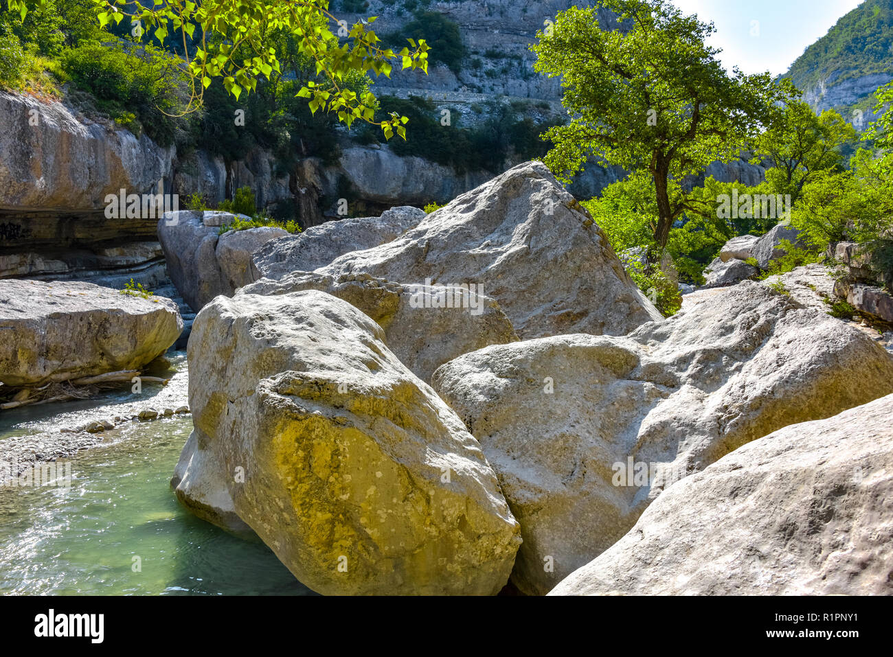 Gorges de la Méouge, Provenza, Francia, grandi rocce e alberi in alveo Foto Stock
