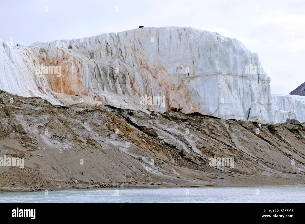 Cascate di sangue è un colore rossastro salato ricco di ferro scarica che emerge dal ghiacciaio di Taylor,Taylor Valley, McMurdo aride vallate, Antartide Foto Stock