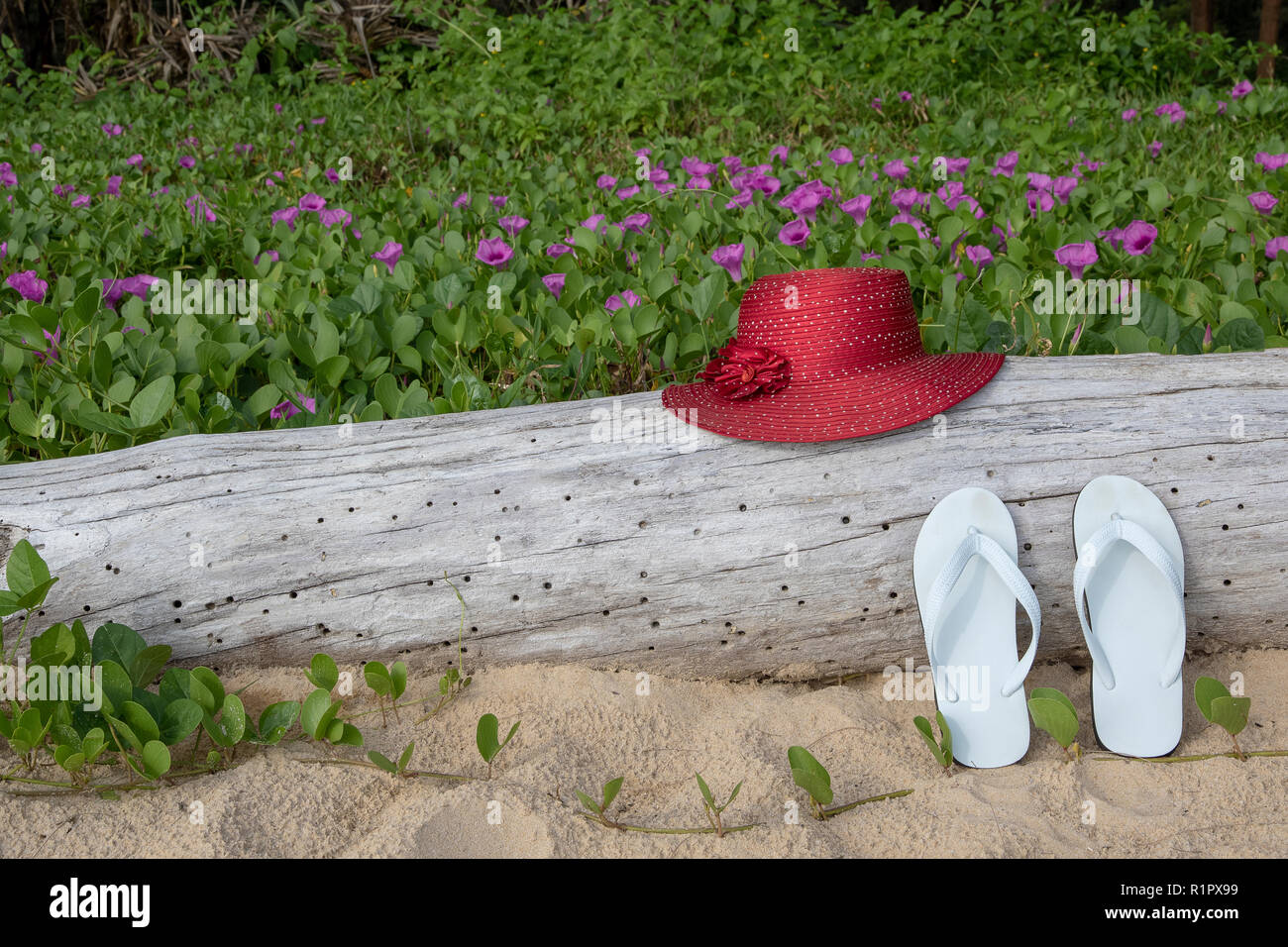 Red cappello di paglia con sandali bianchi sulla spiaggia di sabbia e a gloria di mattina spiaggia sfondo. Foto Stock