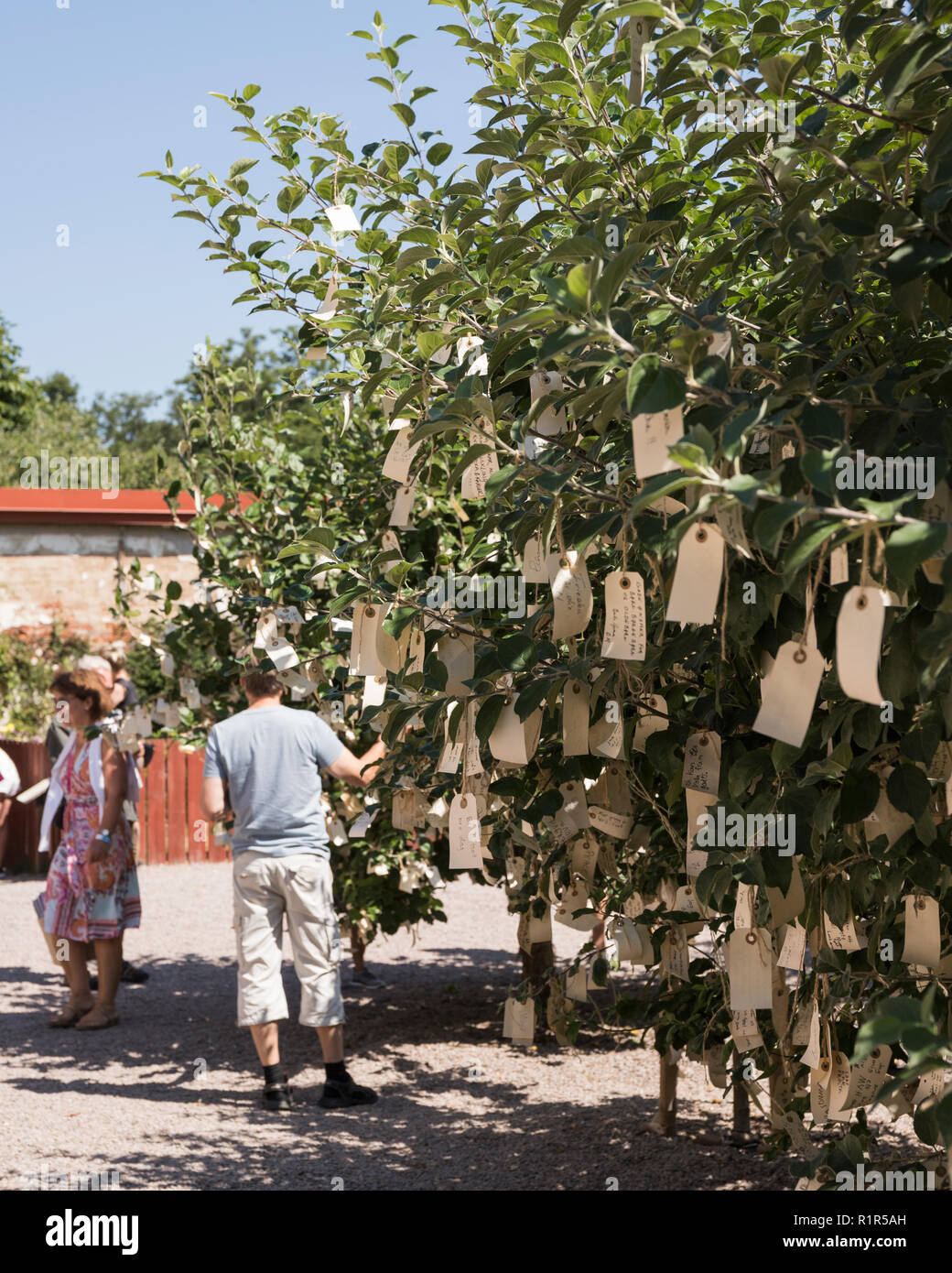 Yoko Ono, desiderio di alberi per Wanås, 2011 presso la Fondazione Wanås. Per solo uso editoriale. Foto Stock