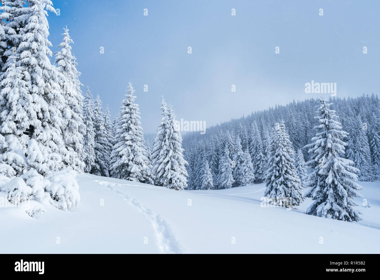 Foresta di inverno nella neve. Paesaggio di montagna con un sentiero. Giornata di sole e il pupazzo di neve meteo Foto Stock