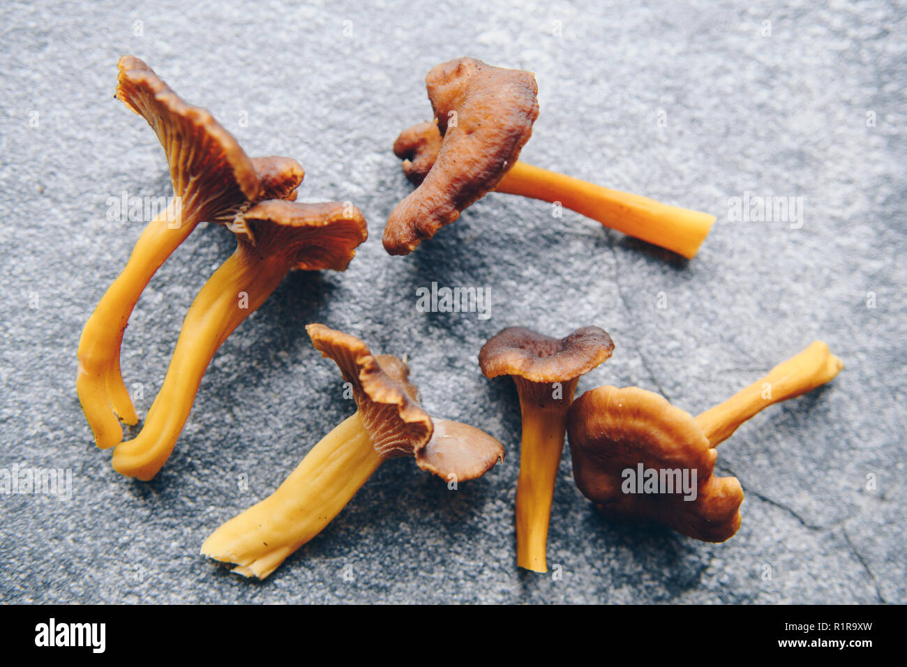 Imbuto Funghi galletti o gallinacci sulla lastra di pietra Foto Stock