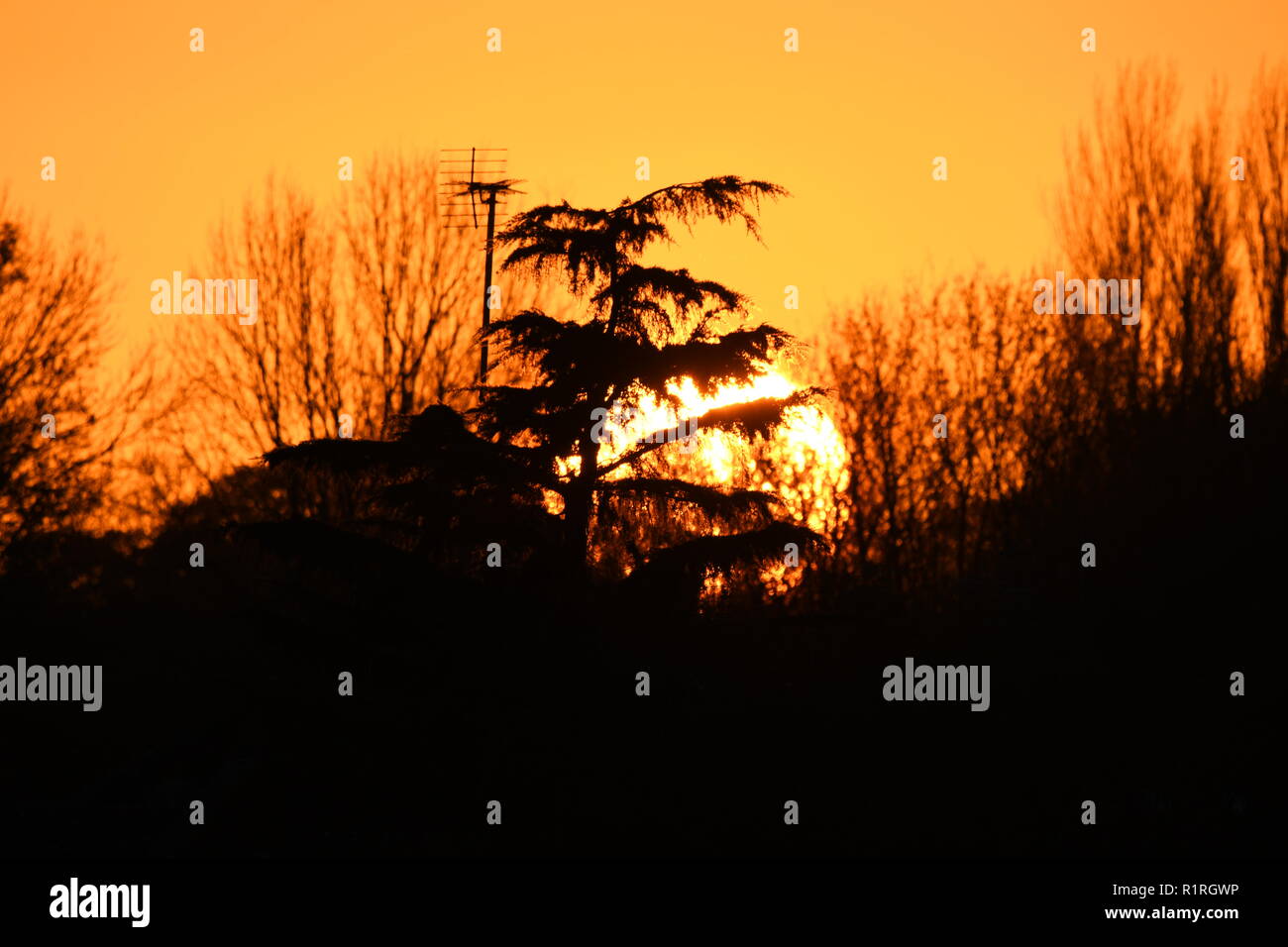 Il sole che tramonta dietro gli alberi in autunno nel West Sussex, in Inghilterra, Regno Unito. Autunno tramonto parzialmente oscurato da alberi. Foto Stock Il sole che tramonta dietro gli alberi in autunno nel West Sussex, in Inghilterra, Regno Unito. Autunno tramonto parzialmente oscurato da alberi. Foto Stock