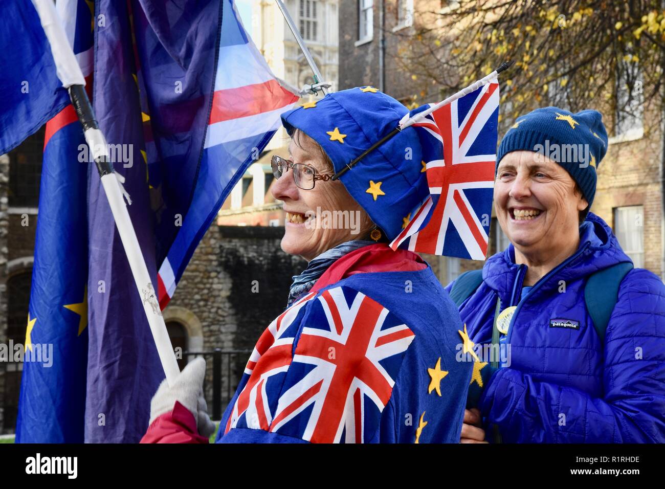 Londra, Regno Unito. 14 Novembre, 2018. I membri della gabbia di Defiance Movimento Europeo hanno continuato il loro Anti Brexit protestare il giorno che Theresa Maggio cabinet cercò il sostegno per il suo piano Brexit.College Green,Case del Parlamento,London.UK Credit: Michael melia/Alamy Live News Foto Stock