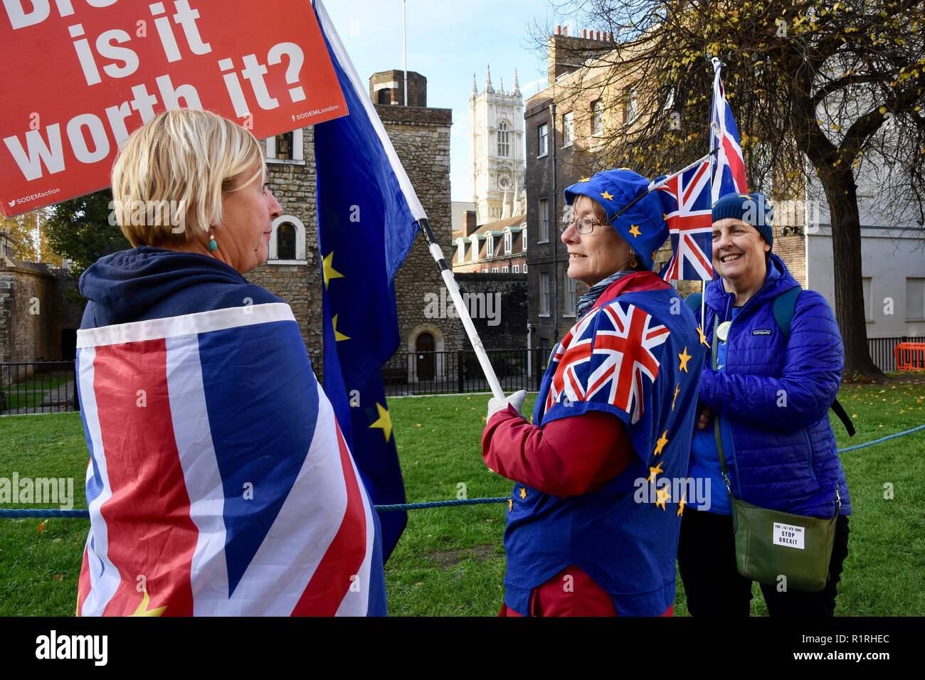 Londra, Regno Unito. 14 Novembre, 2018. I membri della gabbia di Defiance Movimento Europeo hanno continuato il loro Anti Brexit protestare il giorno che Theresa Maggio cabinet cercò il sostegno per il suo piano Brexit.College Green,Case del Parlamento,London.UK Credit: Michael melia/Alamy Live News Foto Stock