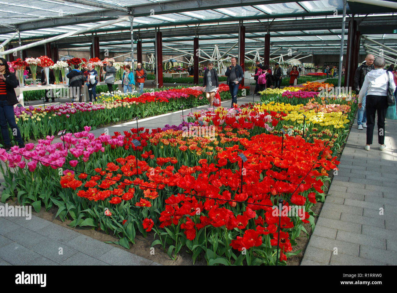 Lisse / Paesi Bassi - 28 Marzo 2017: il Keukenhof è aperto annualmente a partire dalla metà di marzo alla metà di maggio. I visitatori possono esplorare i padiglioni con i tulipani. Foto Stock