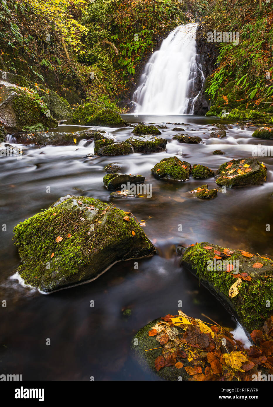 Cascata Glenoe, N Irlanda in autunno Foto Stock