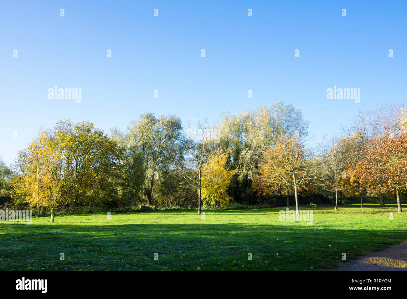 Milton Park nel colore di autunno mantello Cambridge Regno Unito 10/11/2018 Foto Stock