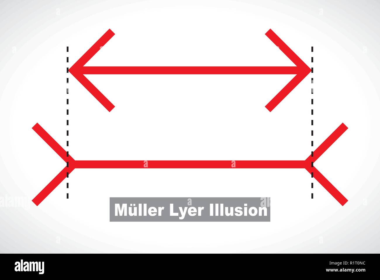 Muller-Lyer illusione ottica illustrazione Illustrazione Vettoriale