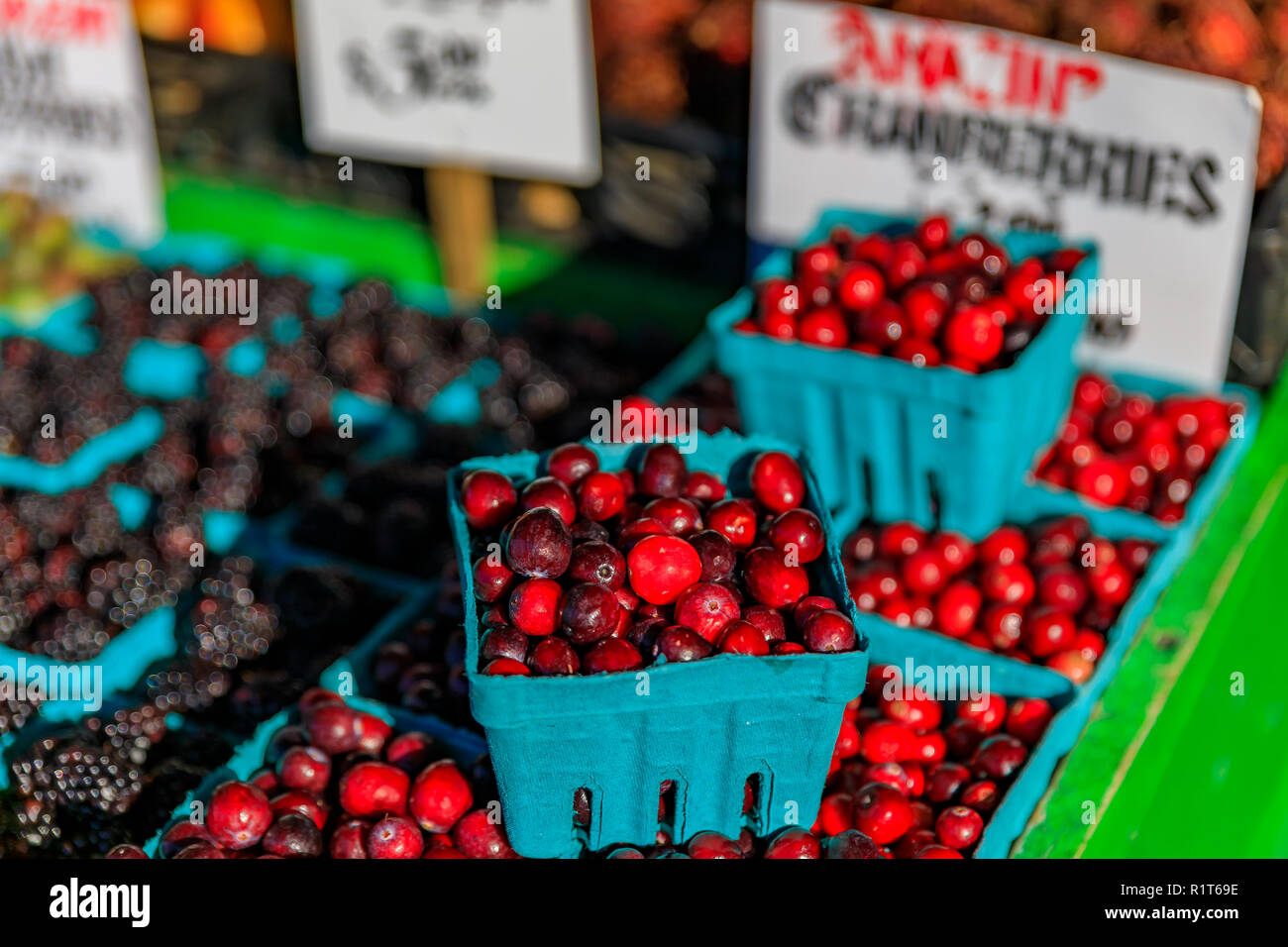 Mirtilli rossi freschi per la vendita in una fase di stallo a Pike Place Market di Seattle, Washington Foto Stock