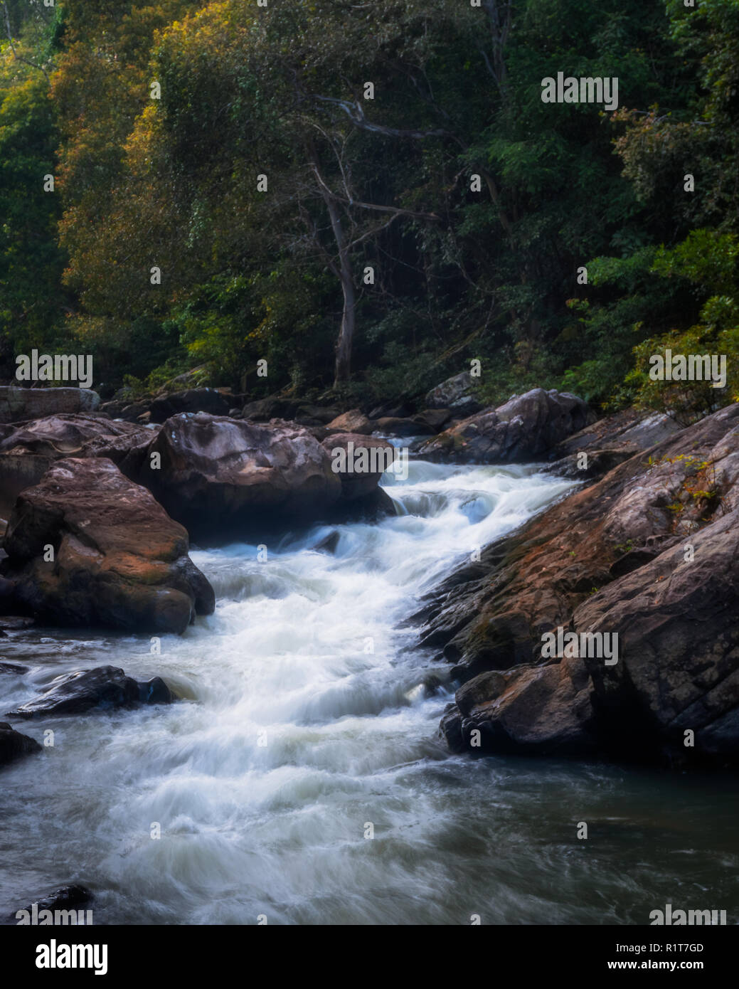 Tranquillo e rilassante scenario naturale della cascata nella giungla in estate Foto Stock