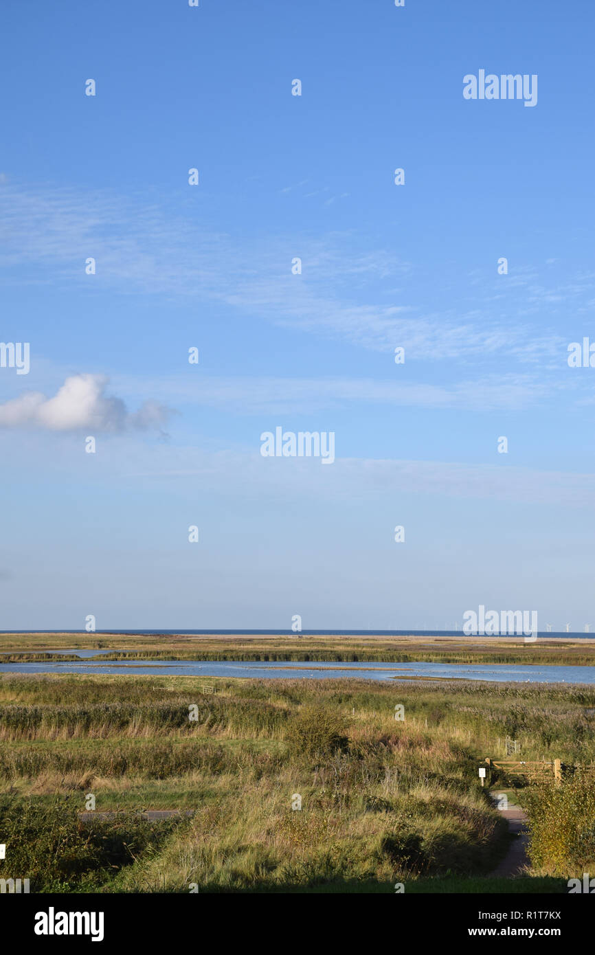 Cley paludi, Norfolk Wildlife Trust riserva naturale, Norfolk UK Novembre 2018 Foto Stock