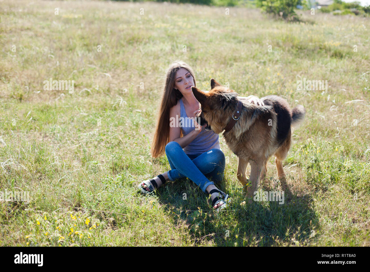 Bella donna mistress scuole Sheepdog cane nice Foto Stock