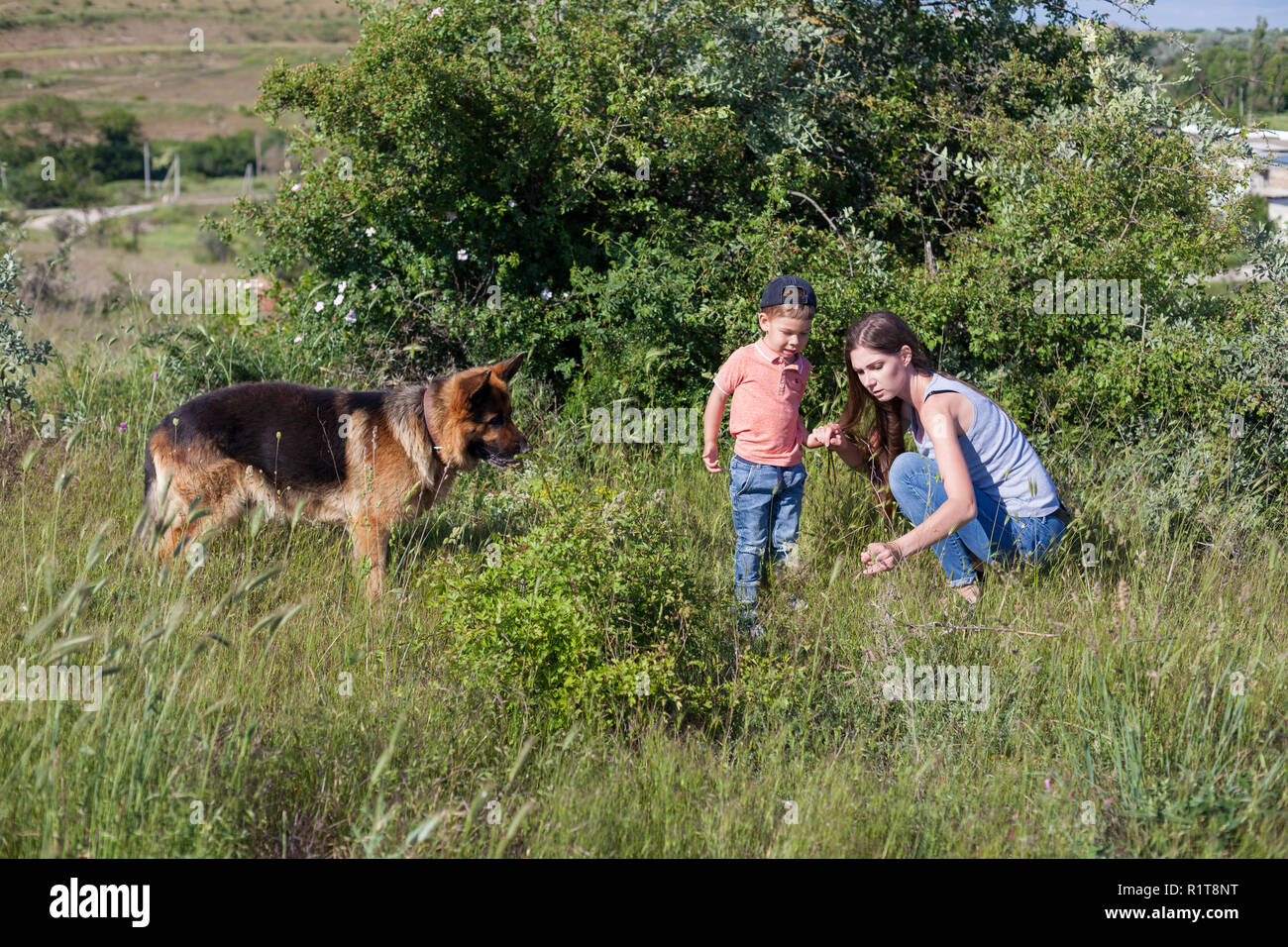 Ritratto di una madre con un giovane figlio e cane nella foresta Foto Stock
