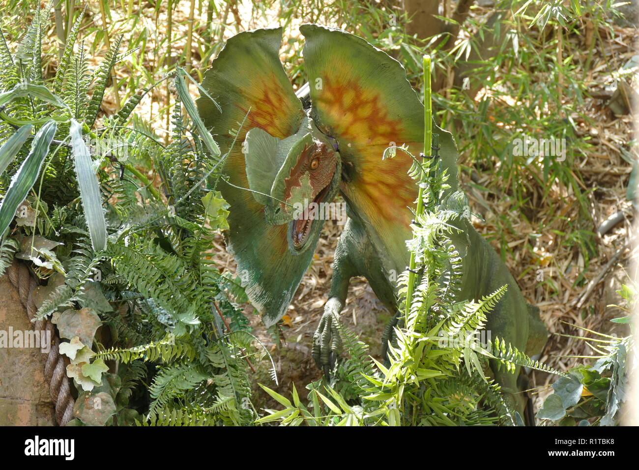 Il modello di lavoro del Dilophosaurus sul jurassic park ride, gli Universal Studios di Los Angeles, California, U.S.A. Foto Stock