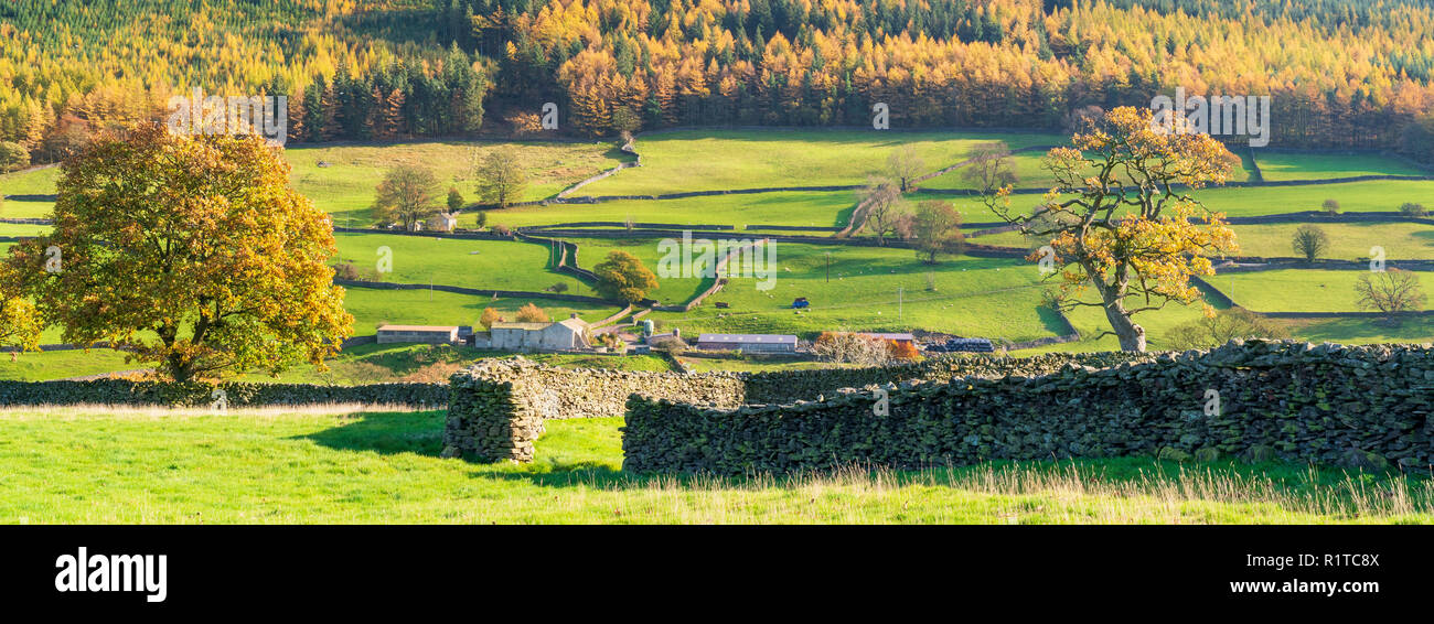 Edifici agricoli, muri in pietra a secco e le superfici boschive a seguito Howgill Simons sedile inferiore in Wharfedale, Yorkshire Dales, UK. Foto Stock
