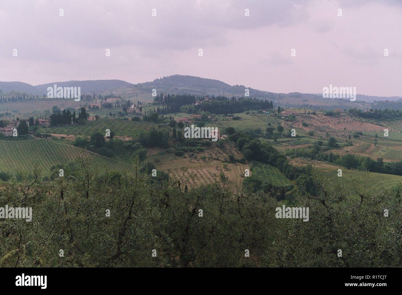 Toscana, Italia nel 2004 Foto Stock