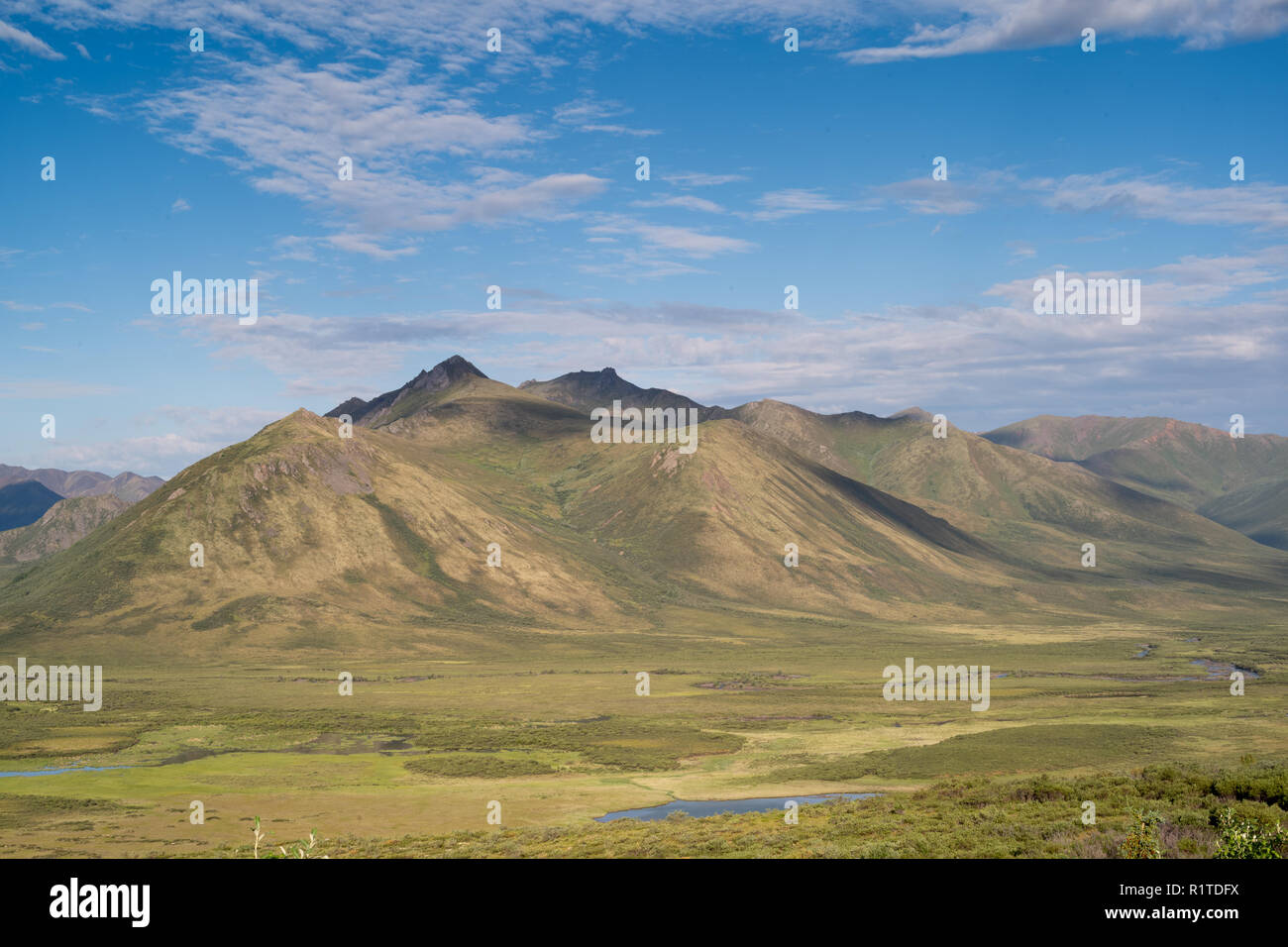 Oggetto contrassegnato per la rimozione definitiva parco territoriale, Yukon, Canada Foto Stock